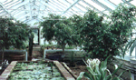 Greenhouses by Florian