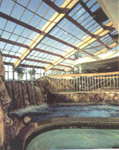 Solariums by Florian