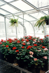 Greenhouses by Florian