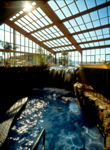 Solariums by Florian