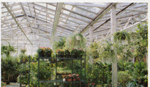 Greenhouses by Florian
