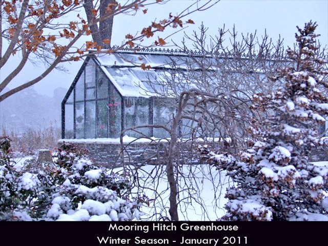 Hurricane-Greenhouse-1
