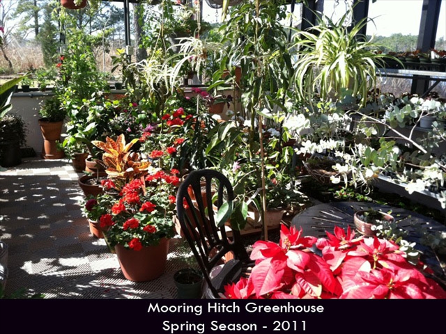 Hurricane-Greenhouse-2