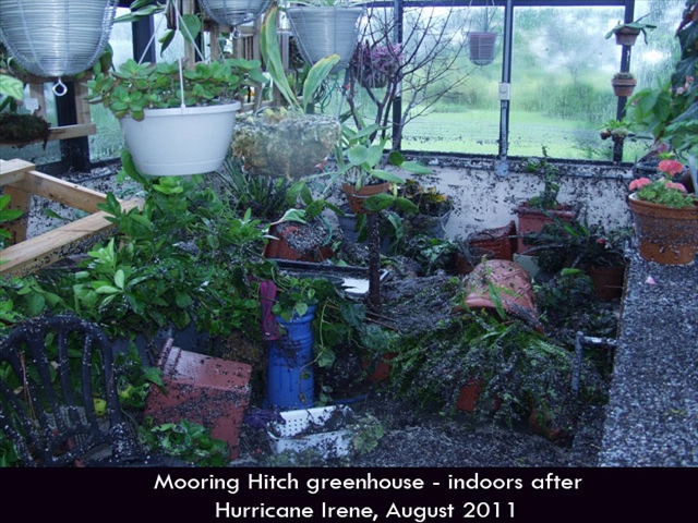 Hurricane-Greenhouse-7