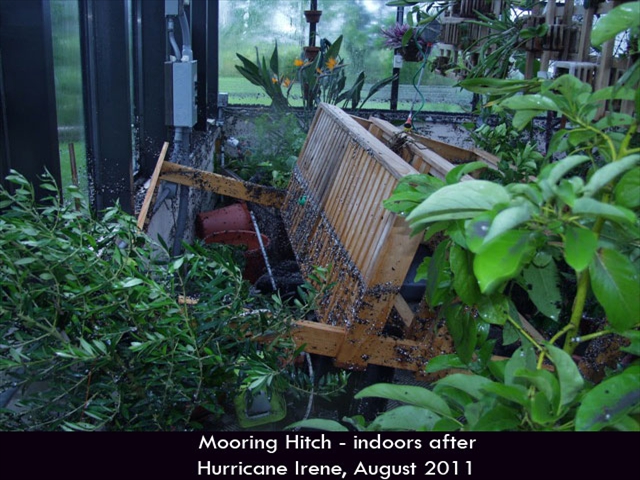 Hurricane-Greenhouse-8
