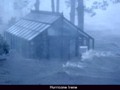 Hurricane-Greenhouse-4