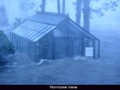 Hurricane-Greenhouse-5