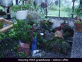 Hurricane-Greenhouse-7