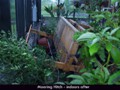 Hurricane-Greenhouse-8